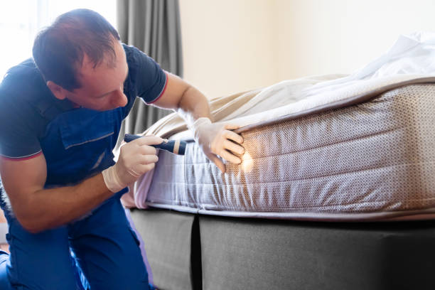 Best Bed Bug Extermination  in Grandview Plaza, KS